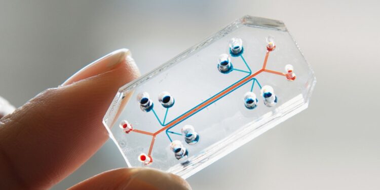 Biotech Prints Human Organs